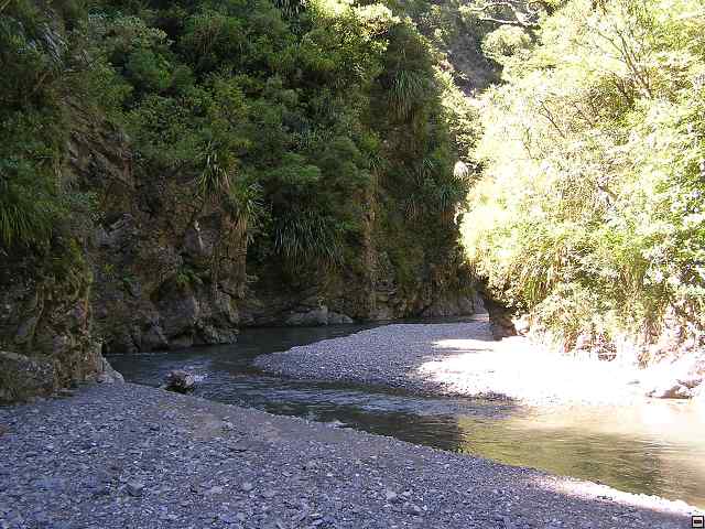 NZ leden-unor 2006 238.jpg
